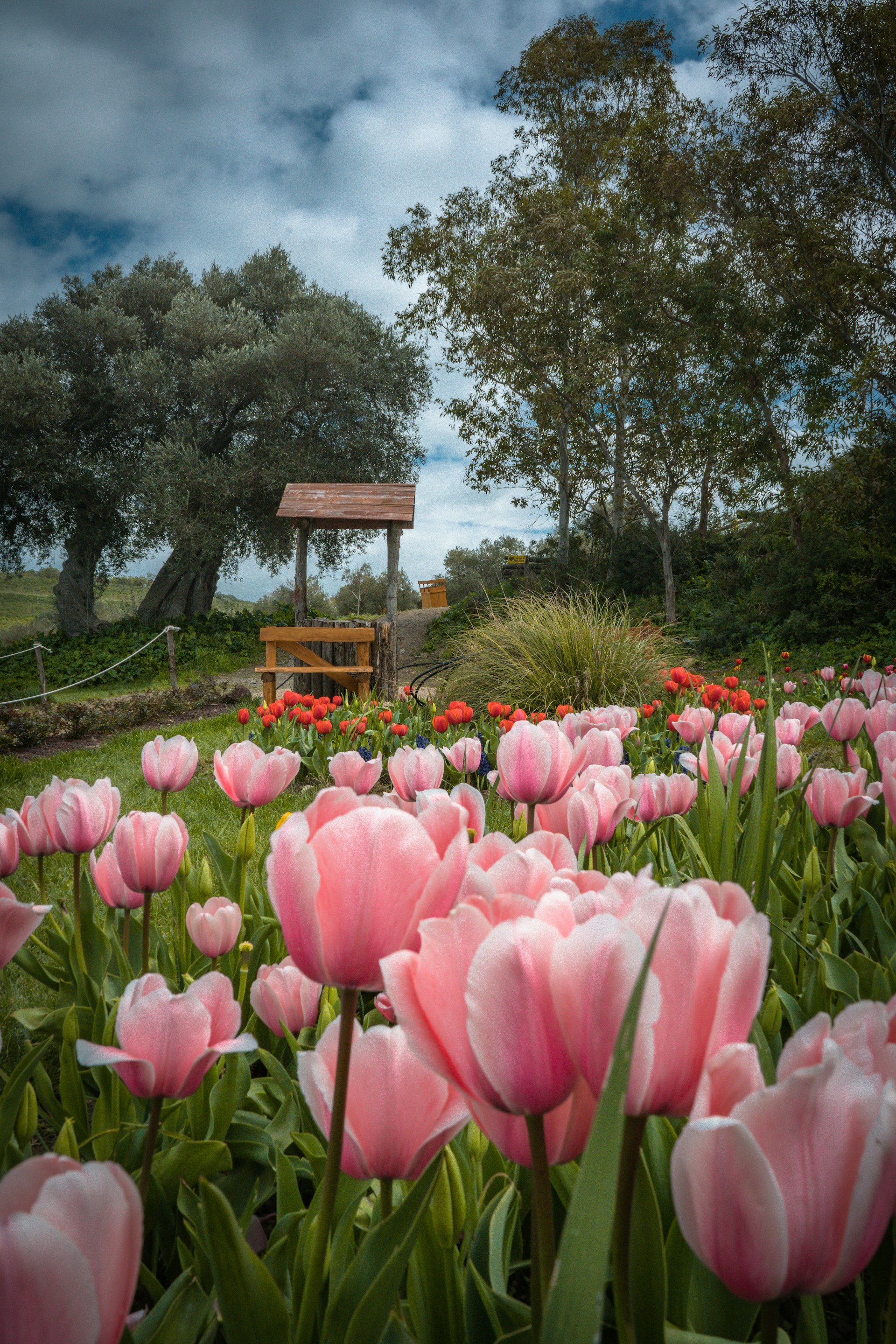 How to Fertilize Your Garden In Spring